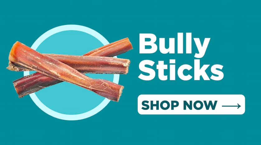bully sticks shop now