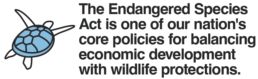 The Endangered Species Act is one of our nation's core policies for balancing economic development with wildlife protections.