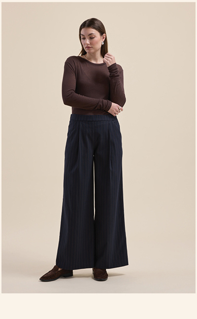 The Pleat Detail Wide Leg Pants