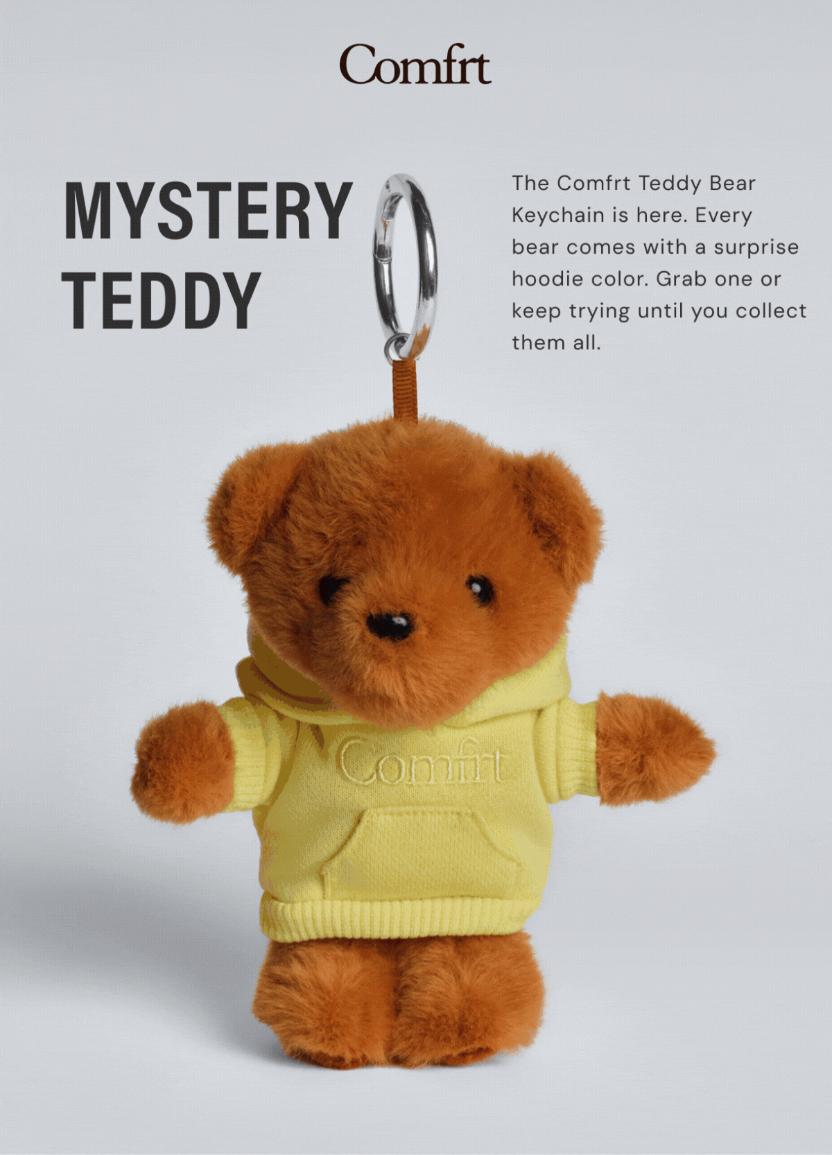 Shop The Teddy Bear Keychain
