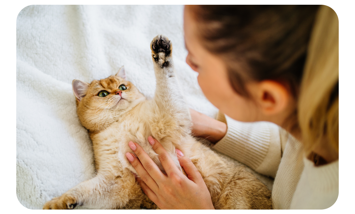 Woman petting a cat