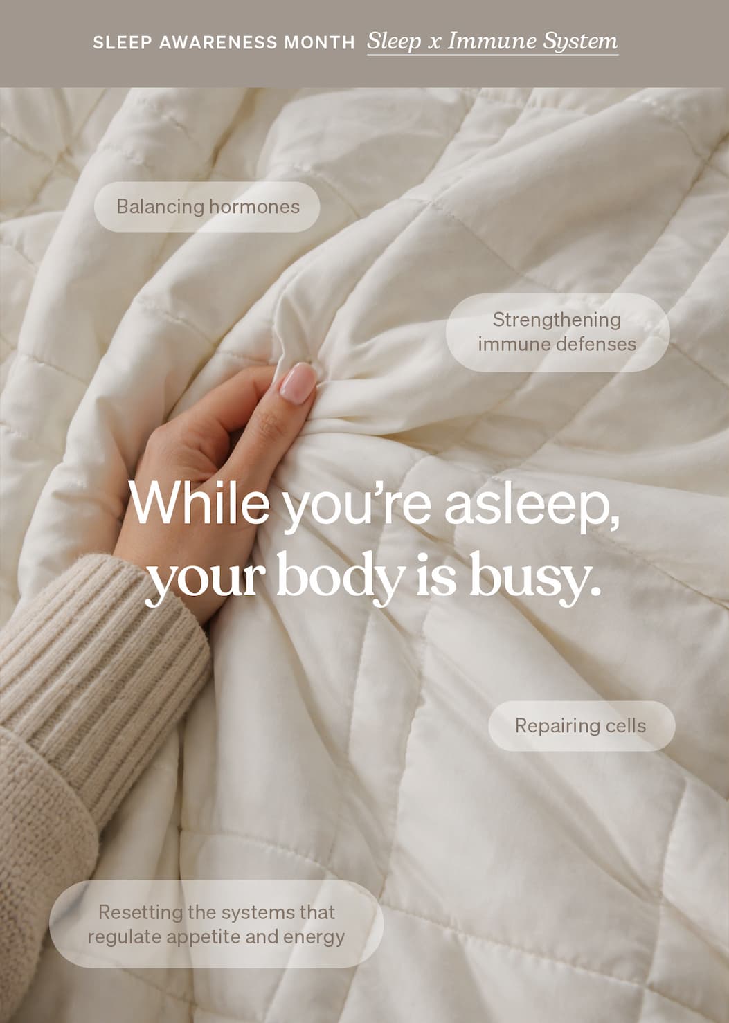 Baloo Living Weighted Blankets