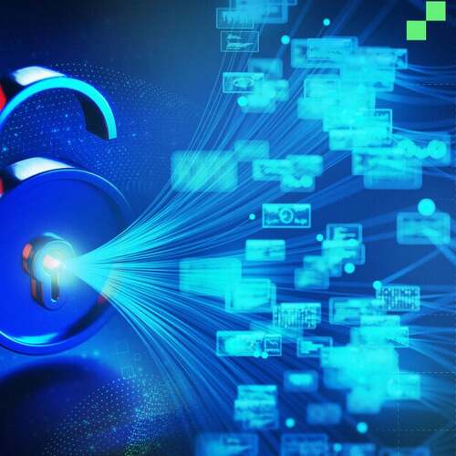 Your Info Is on the Dark Web: Use These 4 Tips to Protect Yourself