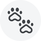 Dog walking