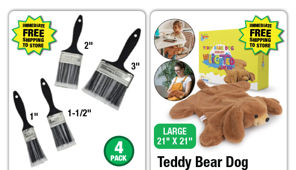 Paint Brush Set - ONLY $3.99!