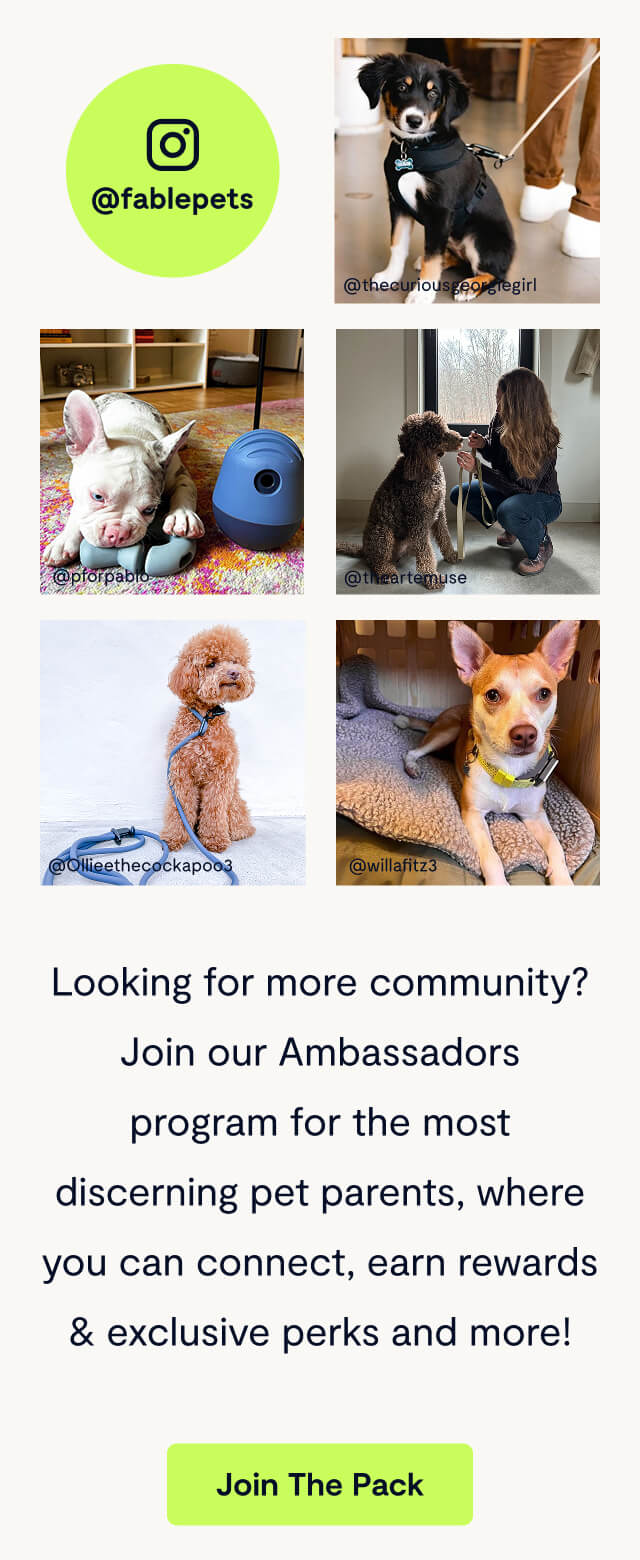 Looking for more community? Join our Ambassadors program for the most discerning pet parents, where you can connect, earn rewards & exclusive perks and more!