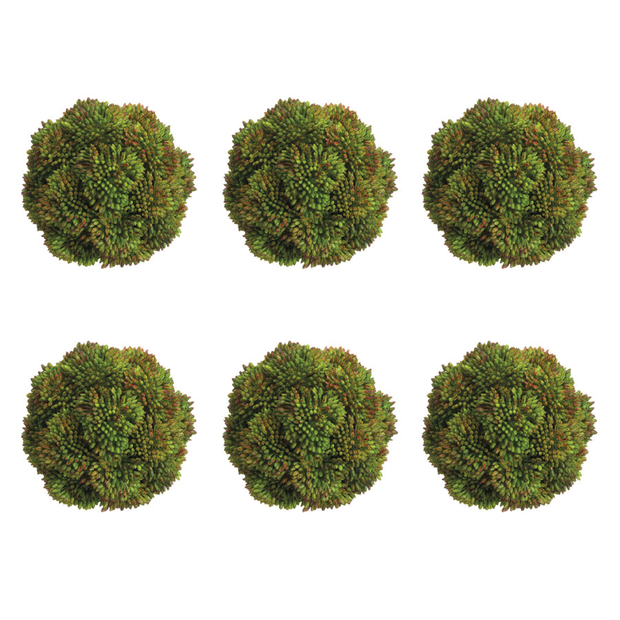 Decorative Sedum Balls (Set of 6)