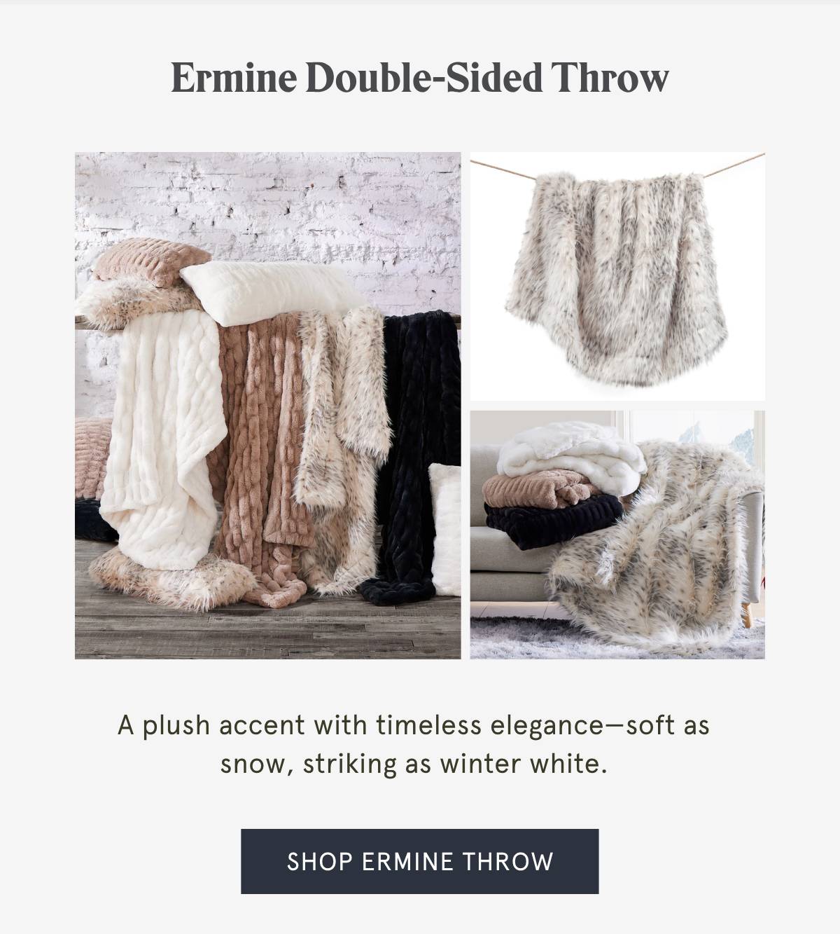Shop Ermine