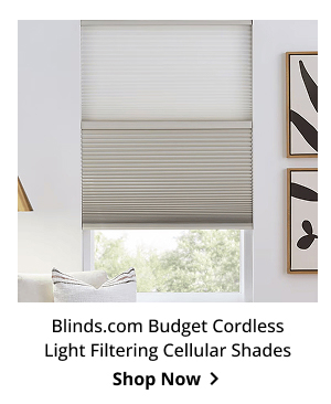 Blinds.com Budget Cordless Light Filtering Cellular Shades | Shop Now >