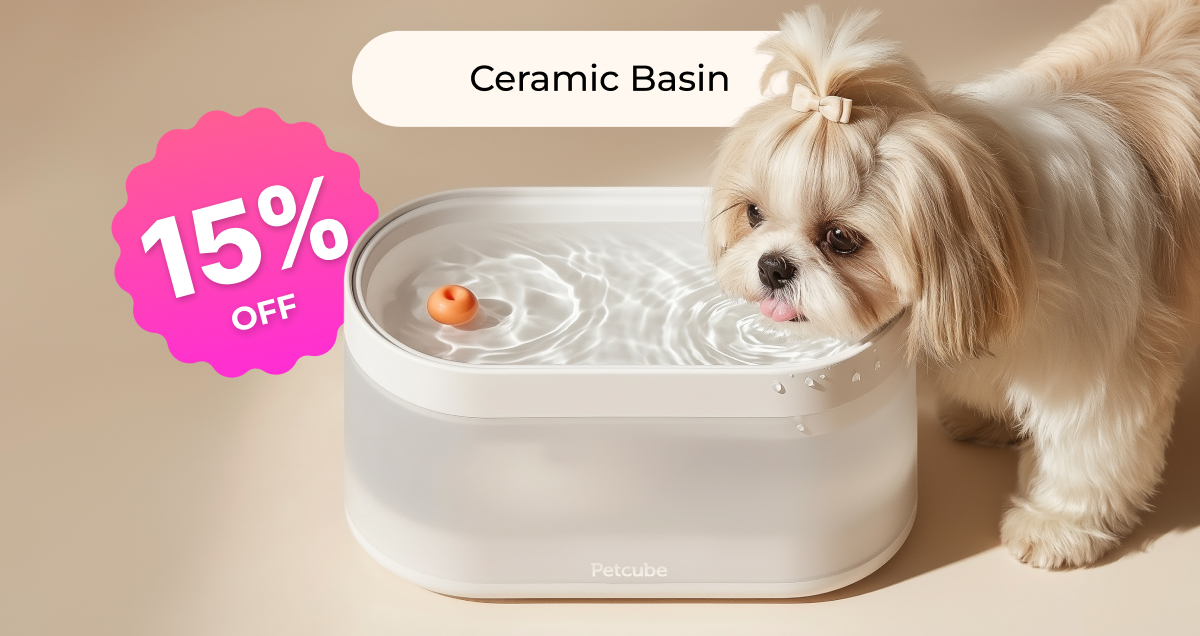 Ceramic Basin