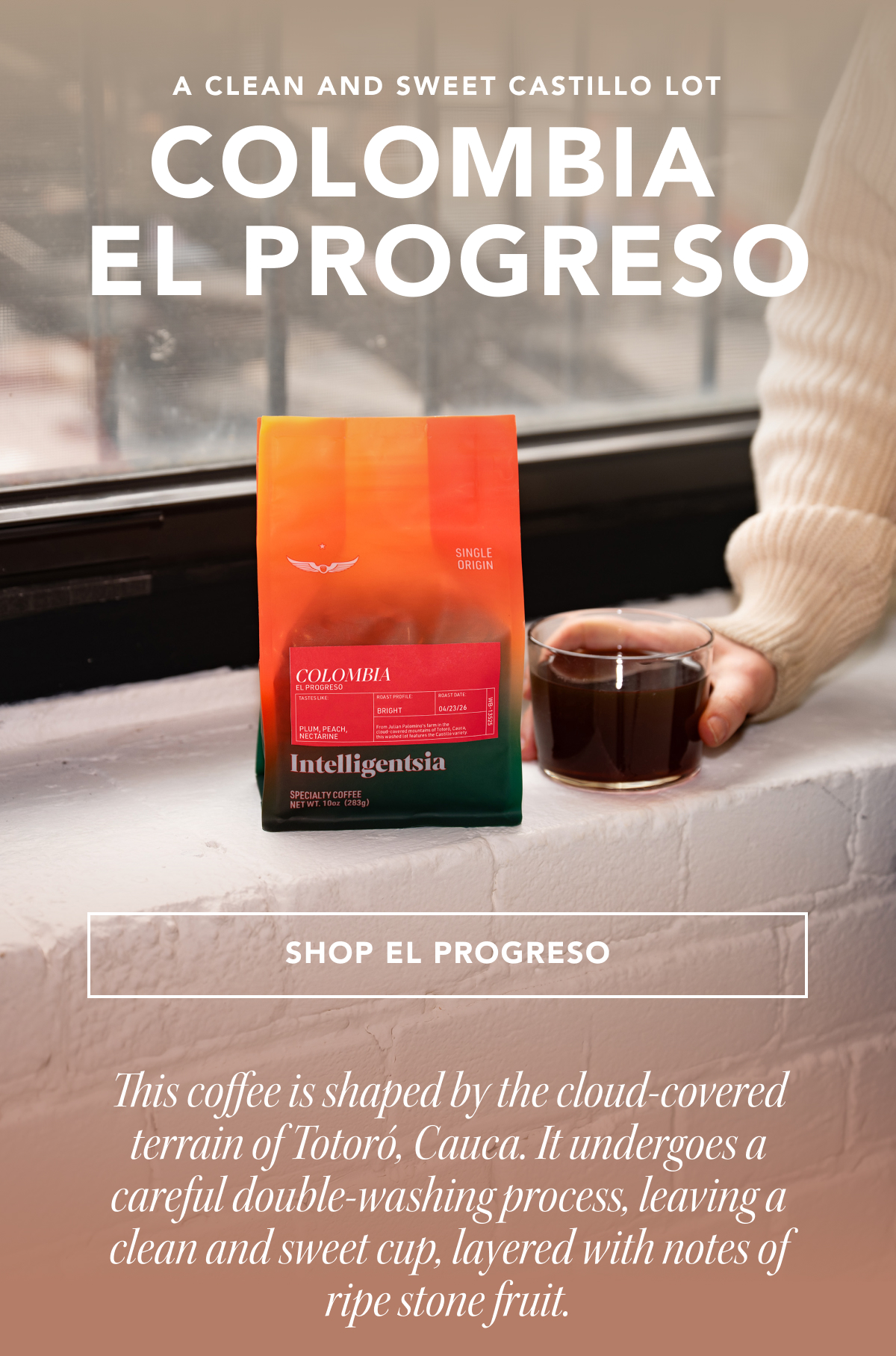 A clean and sweet Castillo lot: Colombia El Progreso | SHOP EL PROGRESO | This coffee is shaped by the cloud-covered terrain of Totoró, Cauca. It undergoes a careful double-washing process, leaving a clean and sweet cup, layered with notes of ripe stone fruit.