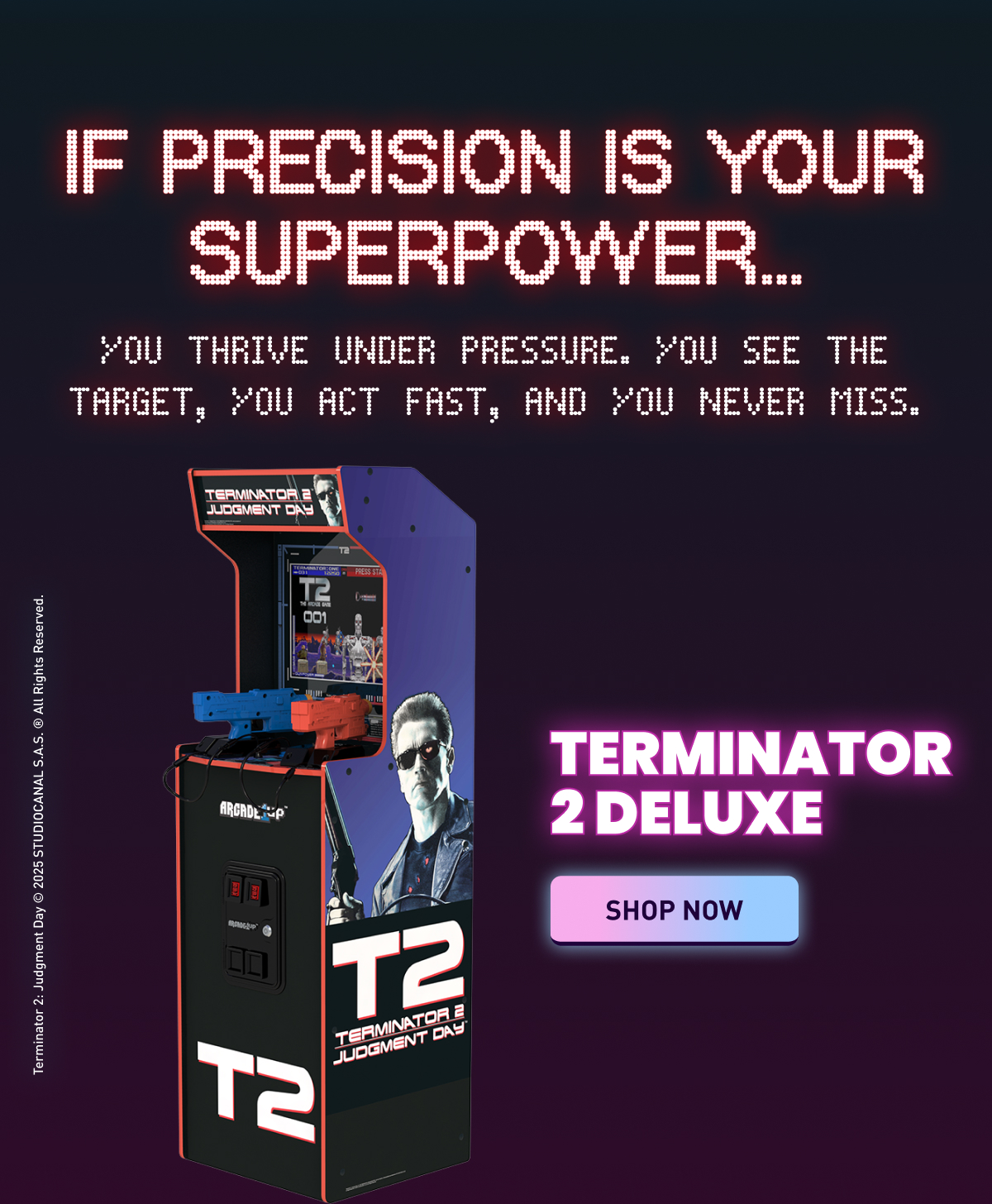 Terminator 2 Deluxe Arcade Machine