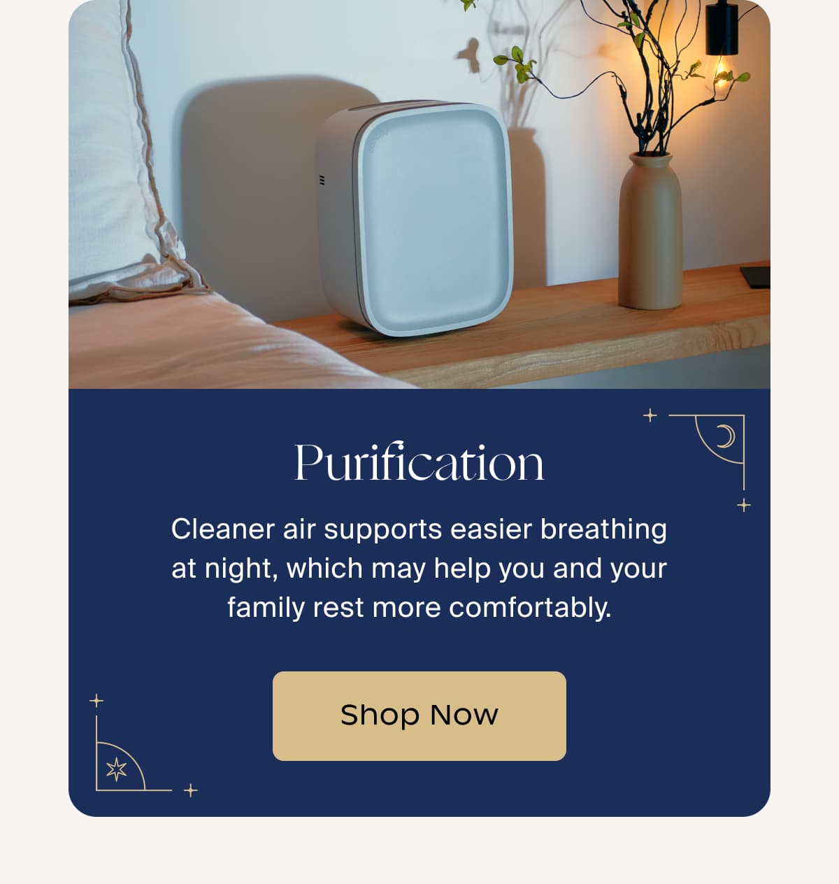 Purification | Cleaner air supports easier breathing at night, which may help you and your family rest more comfortably. | Shop Now