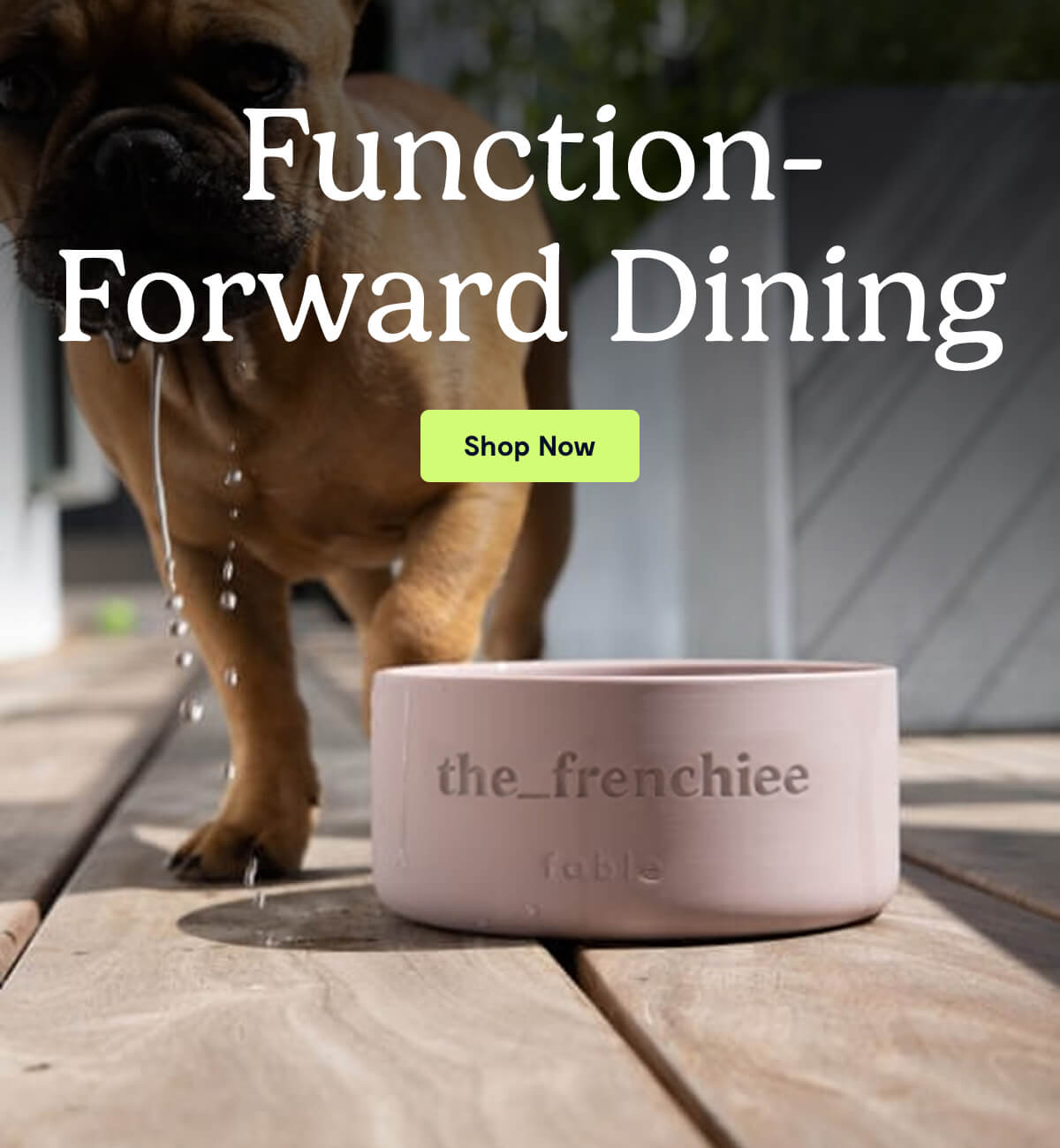 Function-Forward Dining