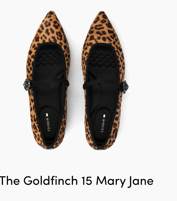 The Goldfinch 15 Mary Jane