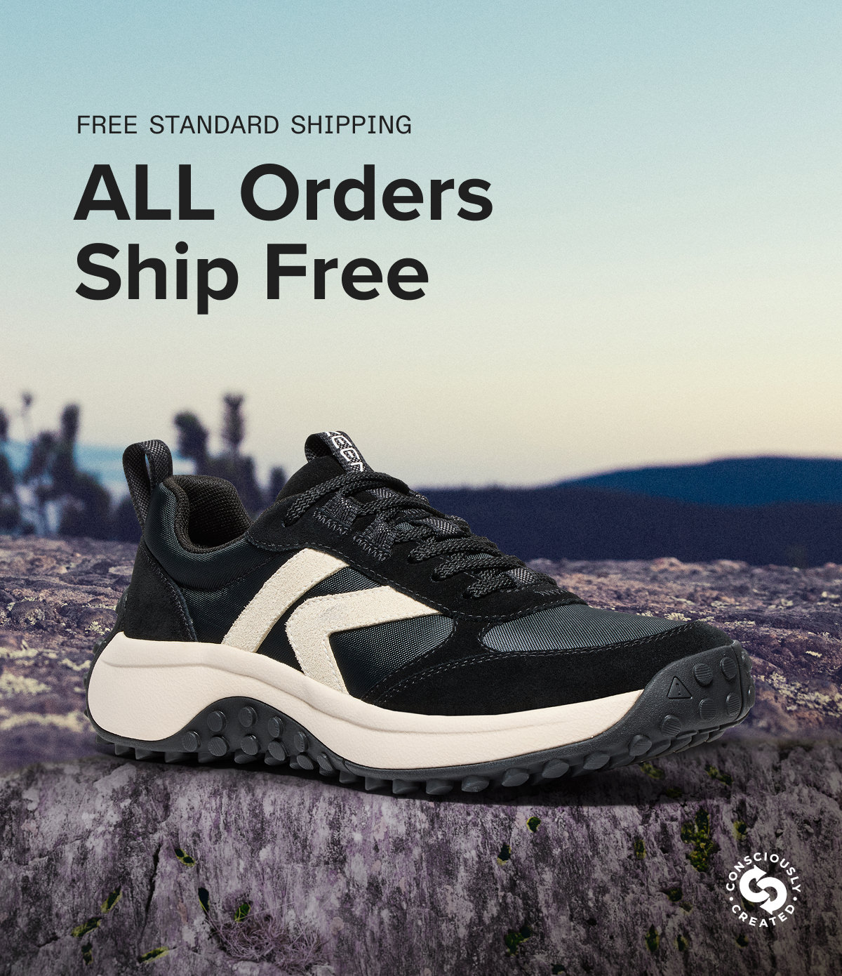 Free Standard Shipping