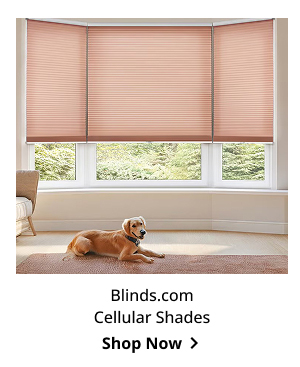 Blinds.com Cellular Shades | Shop Now >