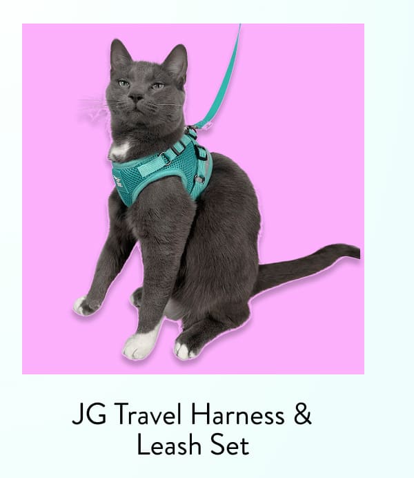 Shop travel harness