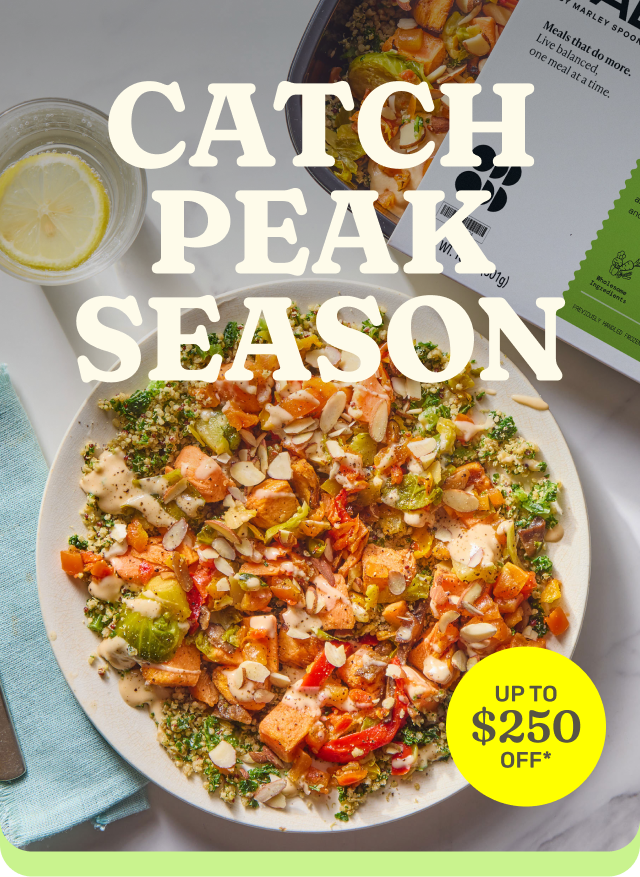 Catch Peak Season