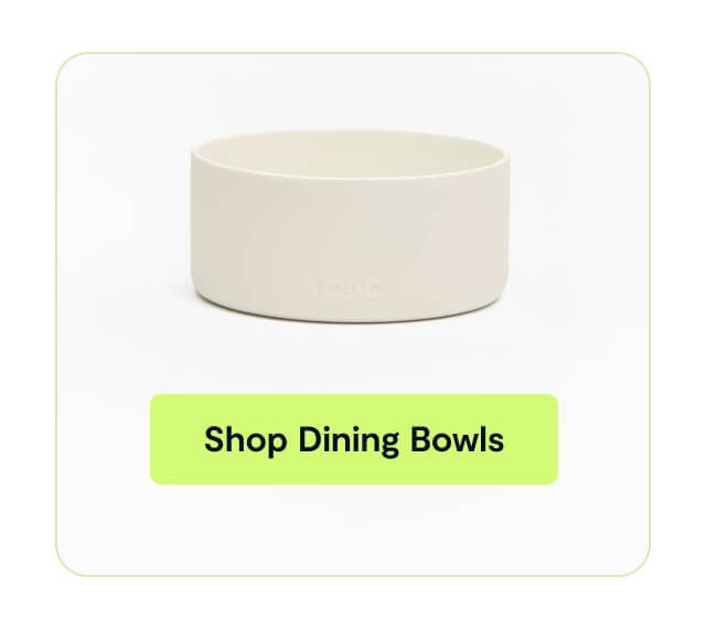 Shop Dining Bowls