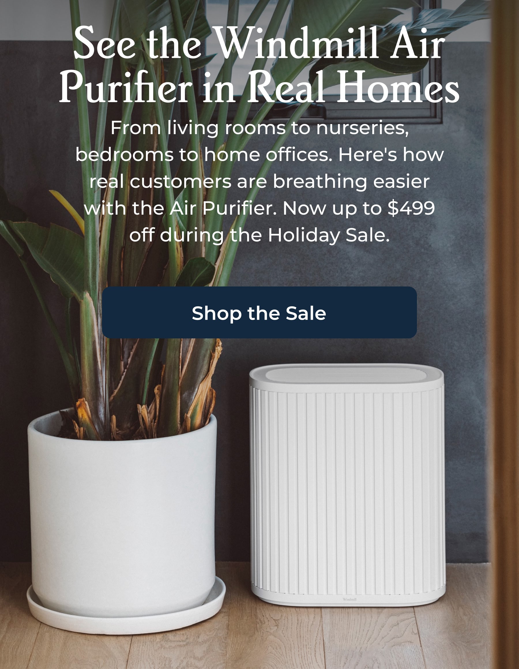 See the Windmill Air Purifier in Real Homes
