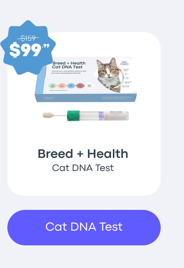 Cat DNA Test