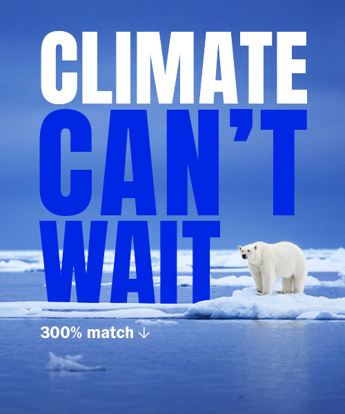 A polar bear on arctic ice with the text &ldquo;climate can&rsquo;t wait. 300% match &rarr;