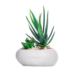 An aloe plant in a white oval plant pot sits on a gray tile.