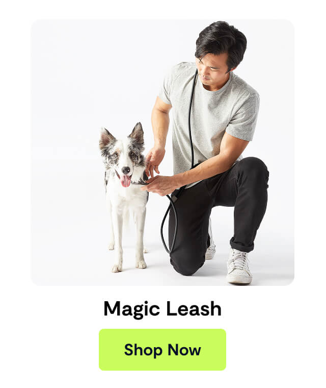 Magic Leash
