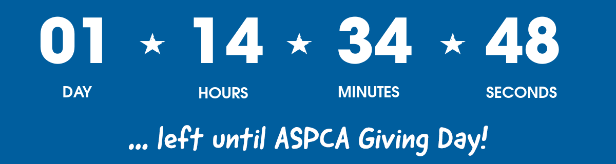 1 day left until Giving Day!