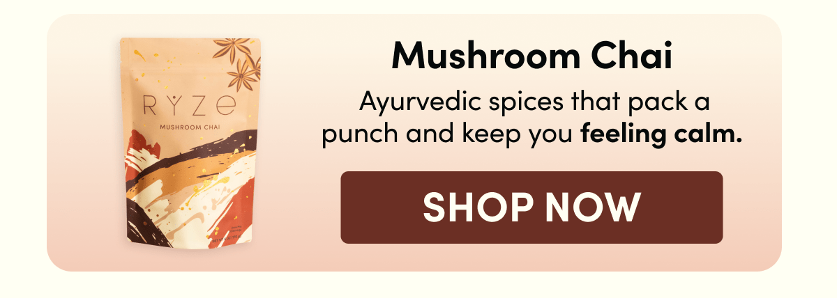 Mushroom Chai | Ayurvedic Spices that pack a punch and keep you feeling calm. | Shop Now