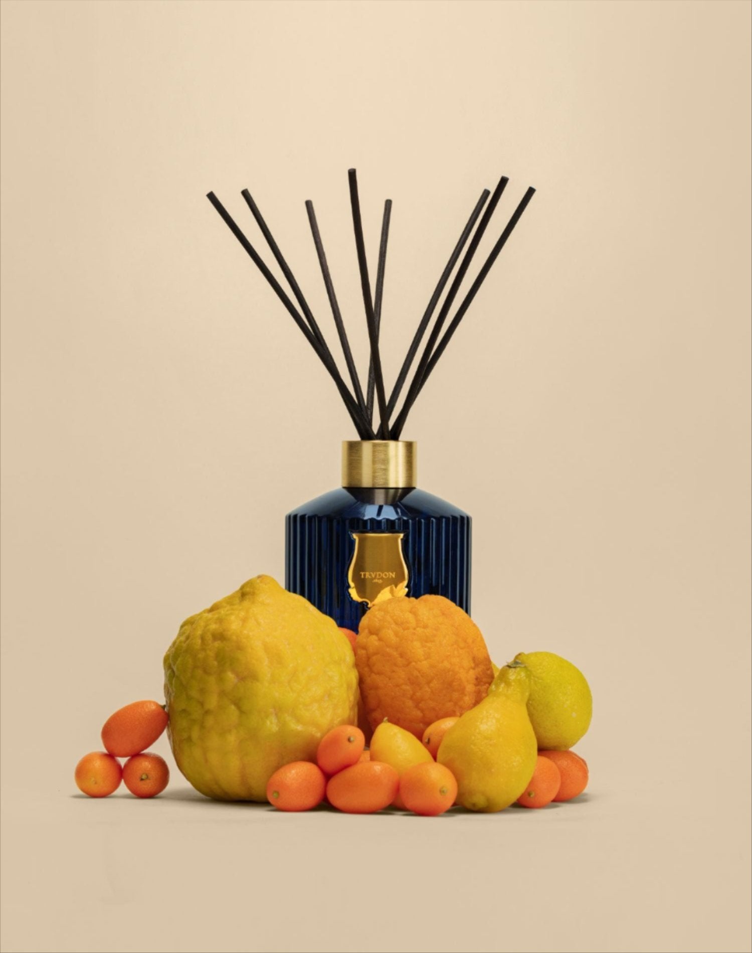 Trudon Belles Matières Diffuseur Reggio