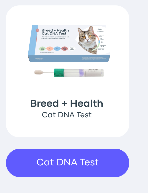 Cat DNA Test
