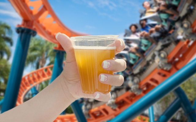 Plan your visit!