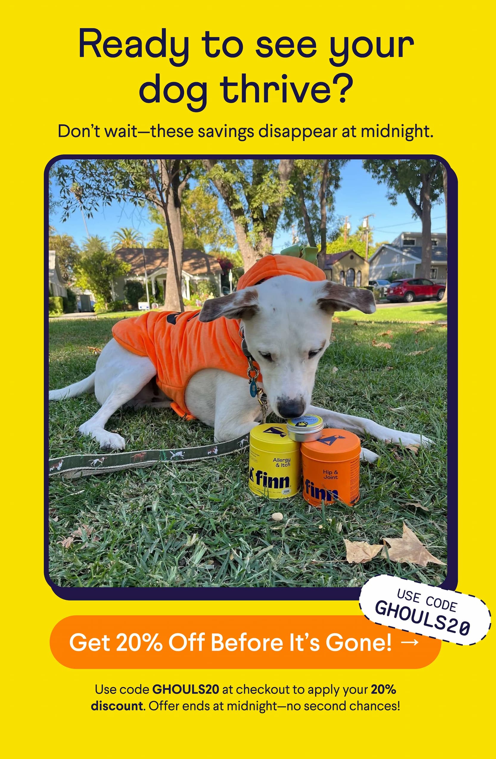 Text: Ready to see your dog thrive? Don’t wait—these savings disappear at midnight. CTA: Get 20% Off Before It’s Gone! → Use code GHOULS20 at checkout to apply your 20% discount. Offer ends at midnight—no second chances! Photo: Mixed breed dog wearing pumpkin costume with Finn Allergy & Itch, Hip & Joint, and Paw Hero