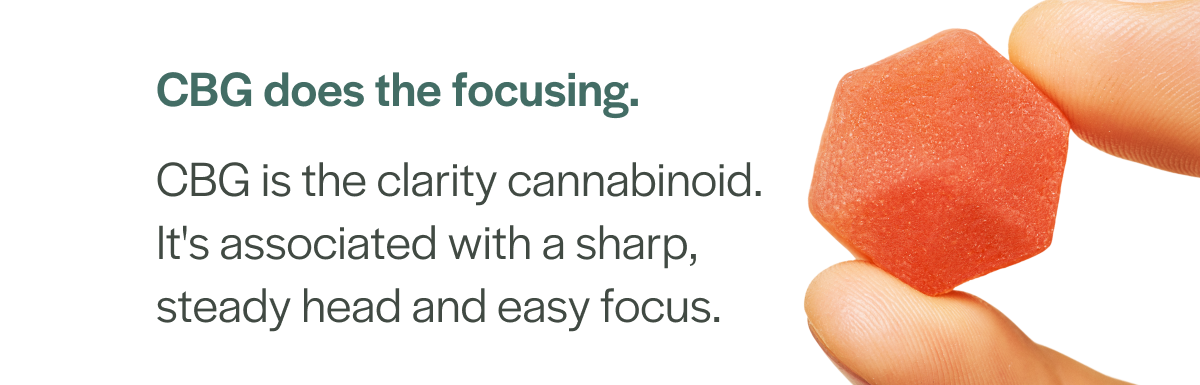 CBG does the focusing. It's the clarity cannabinoid.