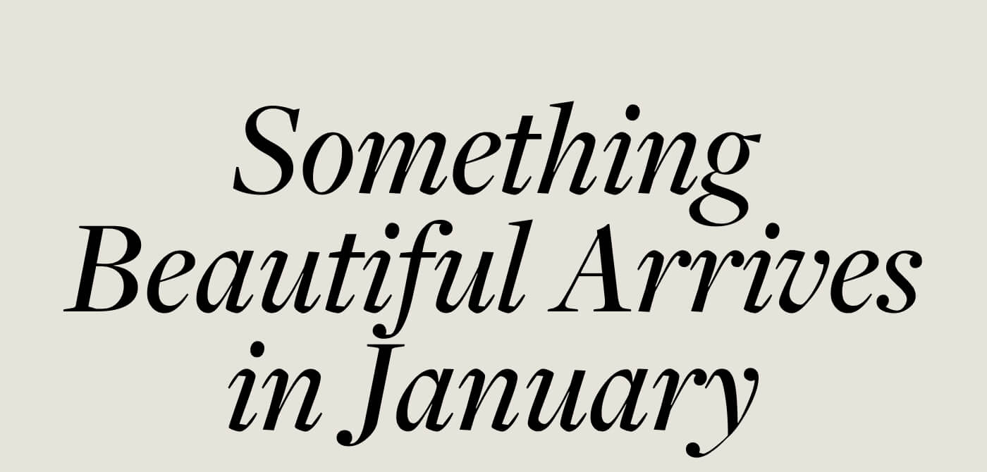 Something Beautiful Arrives in January