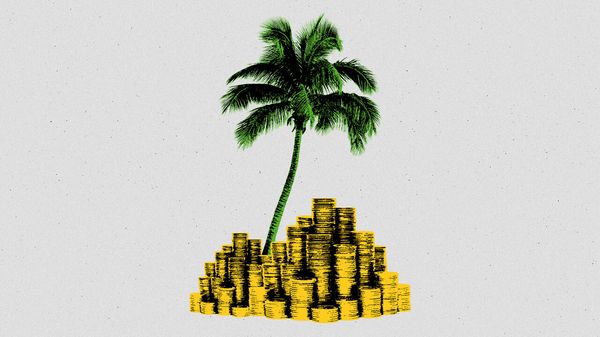 Palm tree on a beach island of coins