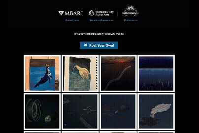 An animated gif scrolling through an online gallery of deep sea art in varied mediums