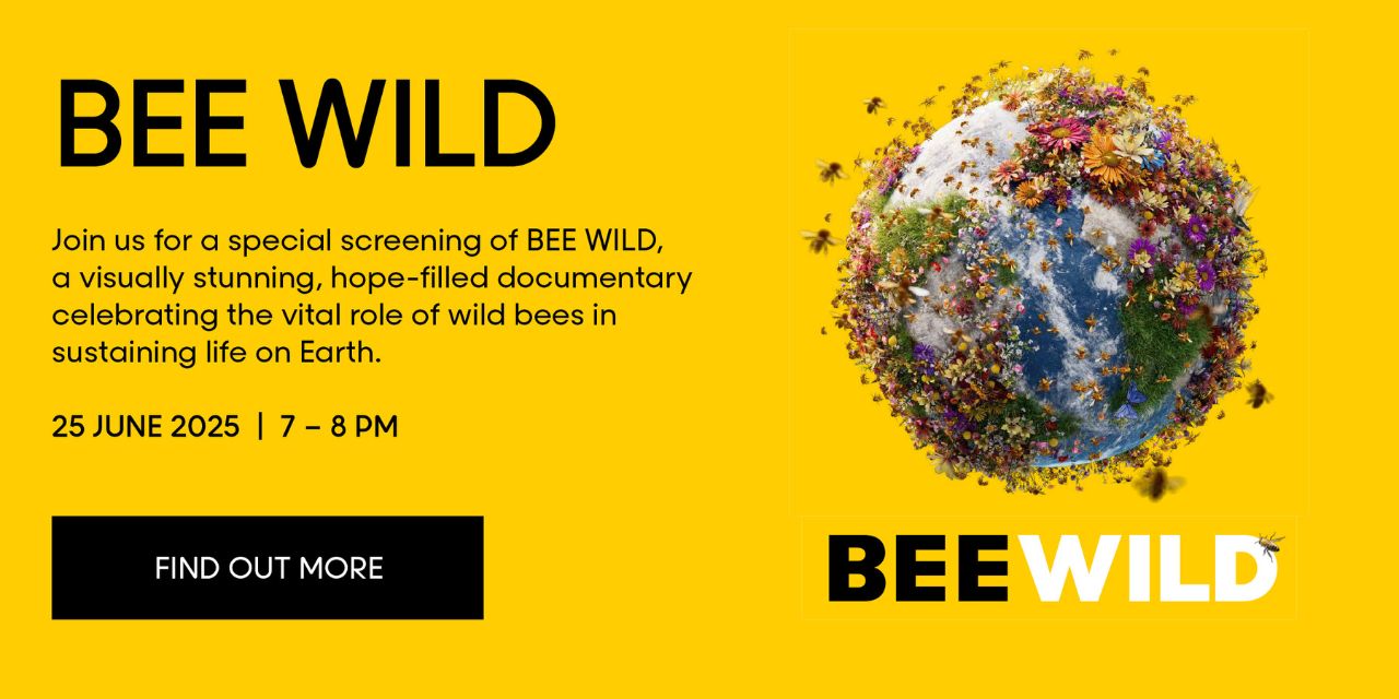 Bee Wild