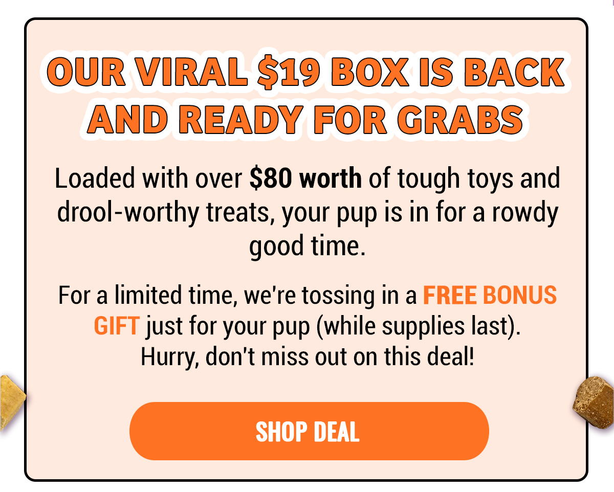 Bullymake Dog Toy Subscription Box