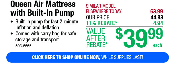 Queen Air Mattress with Built-In Pump - Free Shipping To Store!