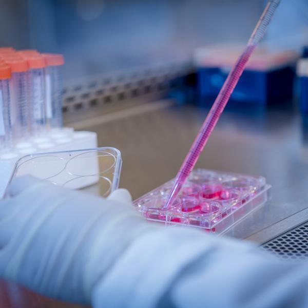 Bench research being conducted with pipette