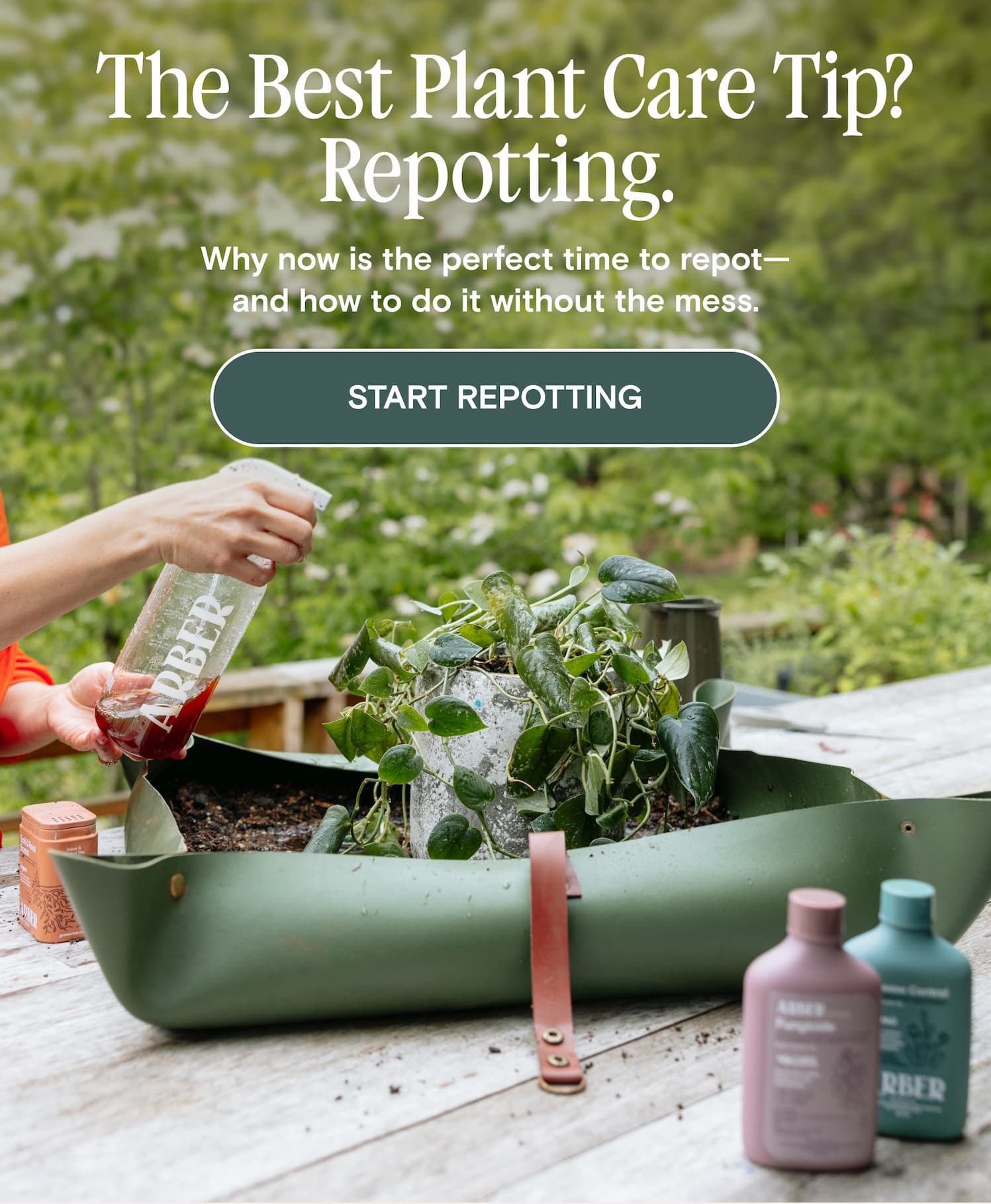 &nbsp;The Best Plant Care Tip? Repotting. Why now is the perfect time to repot—and how to do it without the mess.