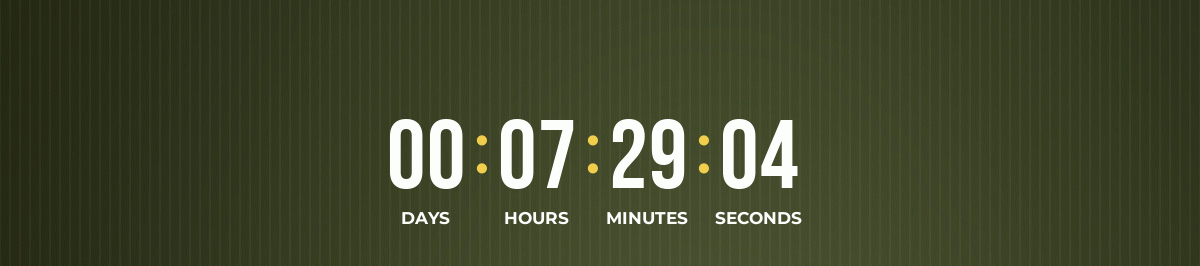 Shop the 48 Hour Holiday Flash Sale