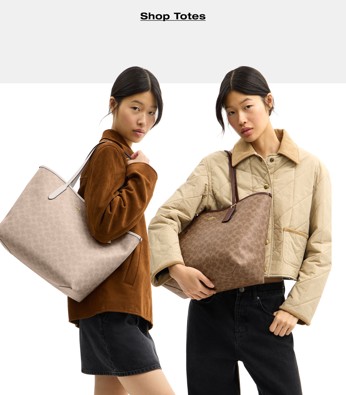 Shop Totes 