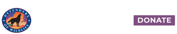 header logo with button