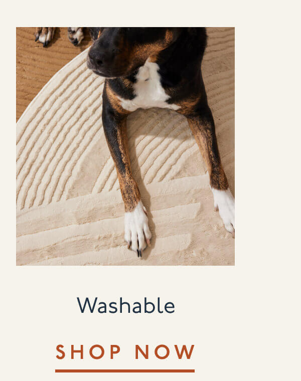 Washable | Shop Now