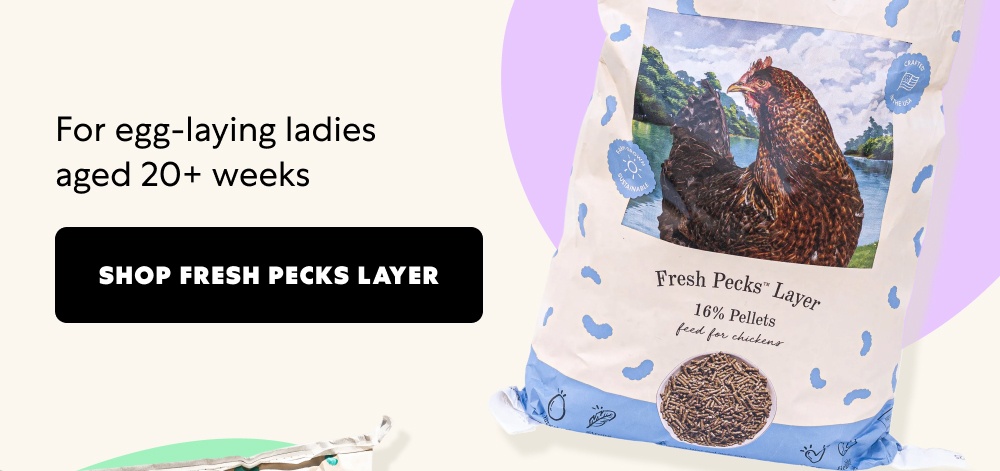 For egg-laying ladies aged 20+ weeks Shop Fresh Pecks Layer