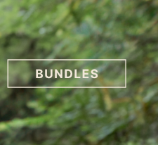 Bundles